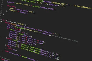 Website Development Serivce